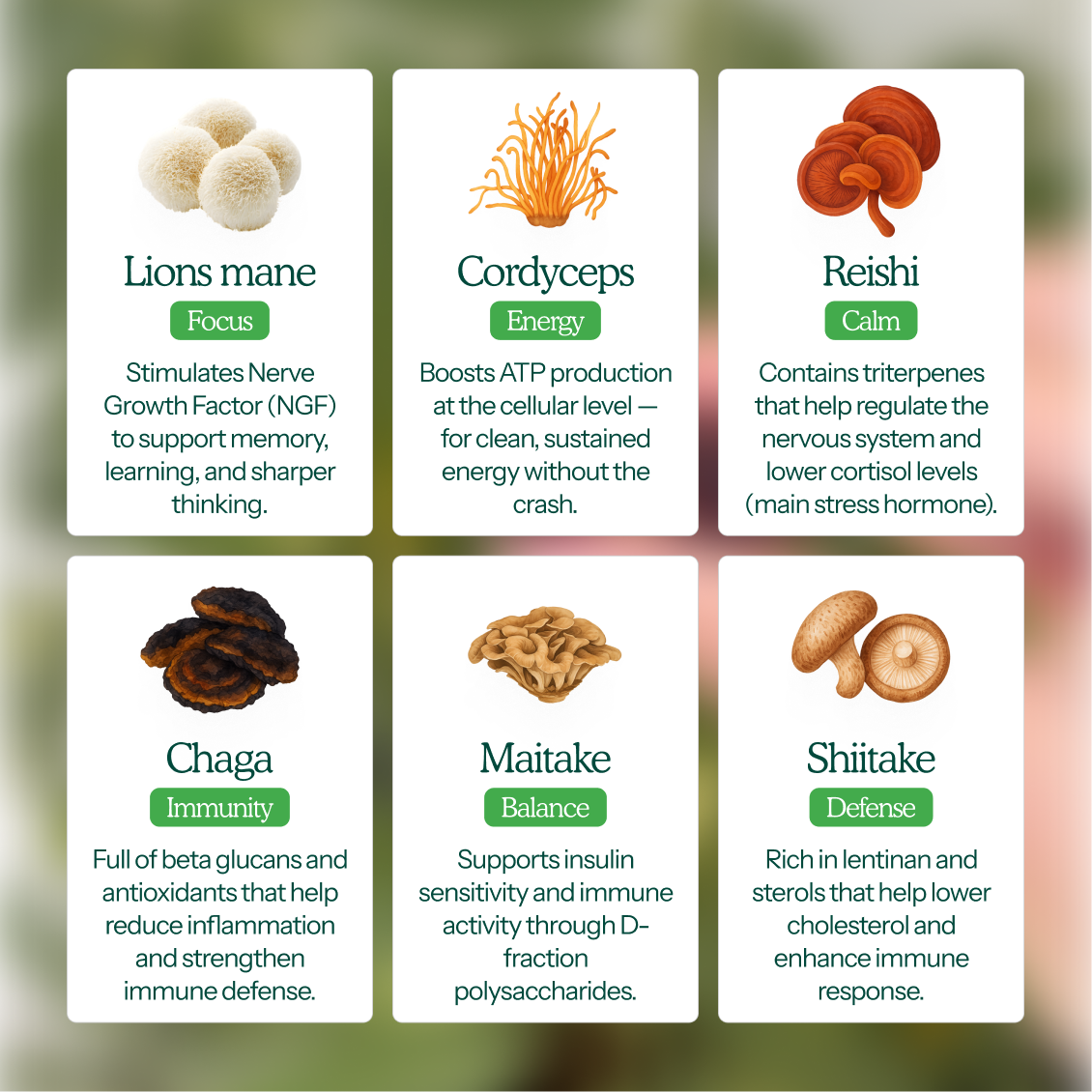 Mushroom Gummies